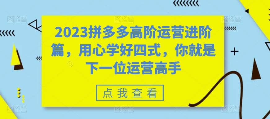 2023拼多多高阶运营进阶篇，用心学好四式，你就是下一位运营高手网创吧-网创项目资源站-副业项目-创业项目-搞钱项目创业吧