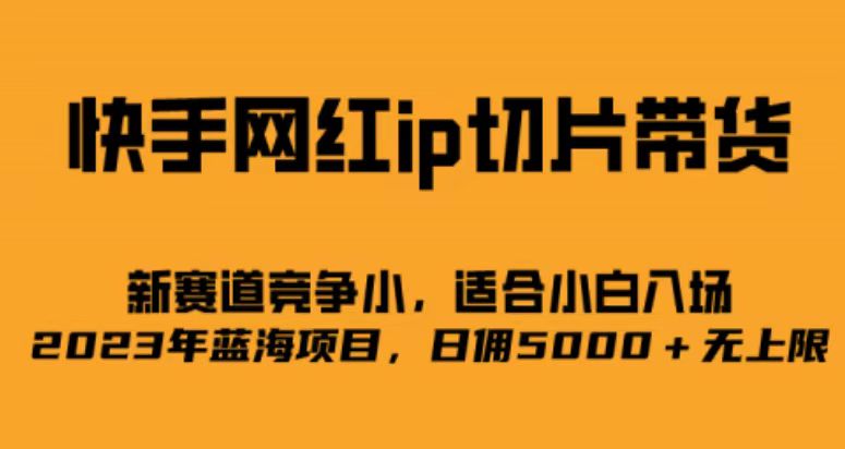 快手网红ip切片新赛道，竞争小事，适合小白 2023蓝海项目网创吧-网创项目资源站-副业项目-创业项目-搞钱项目创业吧