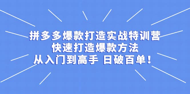 拼多多爆款打造实战特训营：快速打造爆款方法，从入门到高手 日破百单网创吧-网创项目资源站-副业项目-创业项目-搞钱项目创业吧