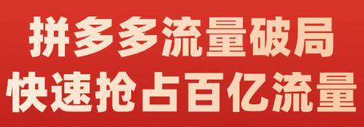 阿杰·拼多多流量破局:如何打黑标，爆款的思路，拼多多流量框架，快速抢占百亿流量网创吧-网创项目资源站-副业项目-创业项目-搞钱项目创业吧