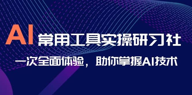 AI-常用工具实操研习社，一次全面体验，助你掌握AI技术网创吧-网创项目资源站-副业项目-创业项目-搞钱项目创业吧