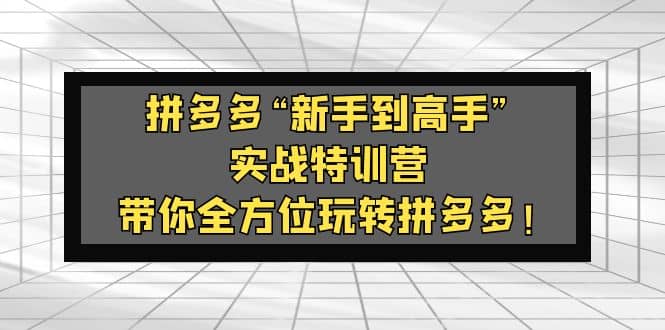 拼多多“新手到高手”实战特训营：带你全方位玩转拼多多网创吧-网创项目资源站-副业项目-创业项目-搞钱项目创业吧