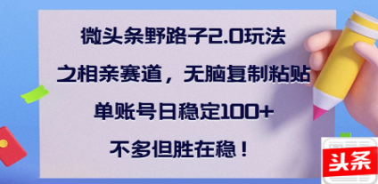 全网首发微头条野路子2.0玩法之相亲赛道，无脑搬砖复制粘贴，单账号日稳定300+保姆级教程网创吧-网创项目资源站-副业项目-创业项目-搞钱项目创业吧