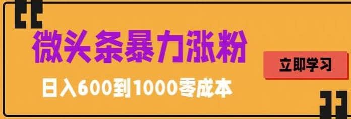 微头条暴力涨粉技巧搬运文案就能涨几万粉丝，简单0成本，日赚600网创吧-网创项目资源站-副业项目-创业项目-搞钱项目创业吧