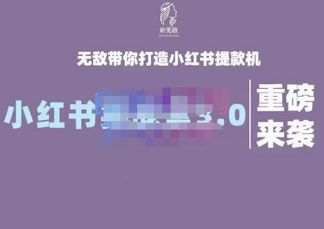 谢无敌·小红书实战营3.0，无敌带你打造小红书提款机 价值7999元网创吧-网创项目资源站-副业项目-创业项目-搞钱项目创业吧