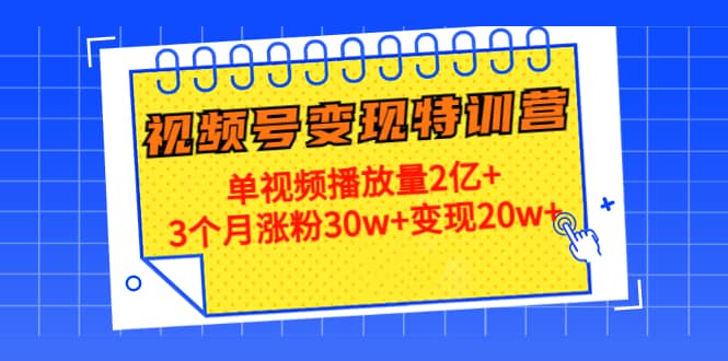 20天视频号变现特训营：单视频播放量2亿+网创吧-网创项目资源站-副业项目-创业项目-搞钱项目创业吧