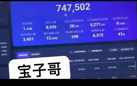 宝子哥无人直播，半无人直播，Obs+伴侣玩法，快速打标签+养鱼网创吧-网创项目资源站-副业项目-创业项目-搞钱项目创业吧