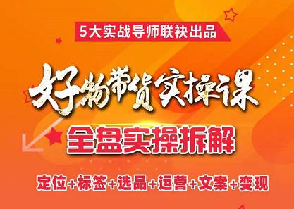 抖音好物带货实操课，全盘拆解抖音好物带货号全套流程打法网创吧-网创项目资源站-副业项目-创业项目-搞钱项目创业吧