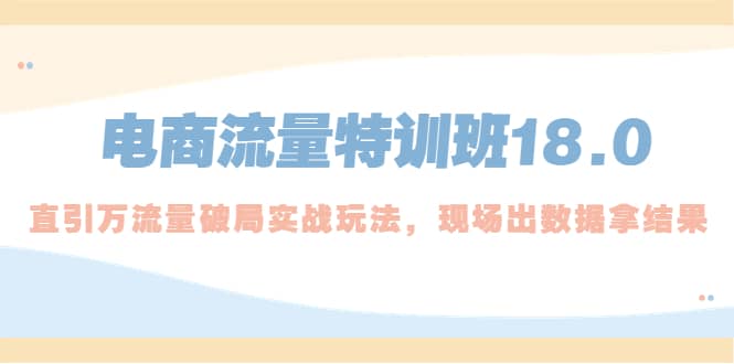 电商流量特训班18.0，直引万流量破局实操玩法，现场出数据拿结果网创吧-网创项目资源站-副业项目-创业项目-搞钱项目创业吧