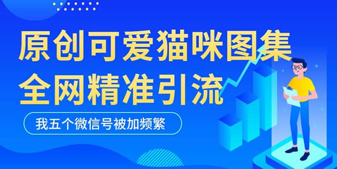 黑科技纯原创可爱猫咪图片，全网精准引流，实操5个VX号被加频繁网创吧-网创项目资源站-副业项目-创业项目-搞钱项目创业吧