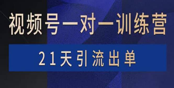 视频号训练营：带货，涨粉，直播，游戏，四大变现新方向，21天引流出单网创吧-网创项目资源站-副业项目-创业项目-搞钱项目创业吧