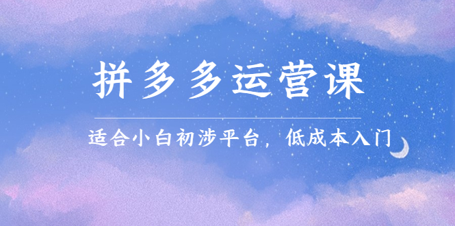拼多多运营课，适合小白初涉平台，低成本入门网创吧-网创项目资源站-副业项目-创业项目-搞钱项目创业吧