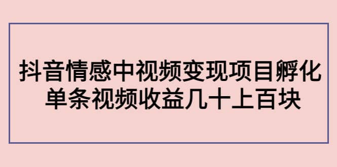 抖音情感中视频变现项目孵化网创吧-网创项目资源站-副业项目-创业项目-搞钱项目创业吧