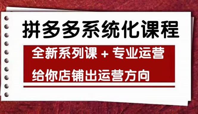 车神陪跑，拼多多系统化课程，全新系列课+专业运营给你店铺出运营方向网创吧-网创项目资源站-副业项目-创业项目-搞钱项目创业吧