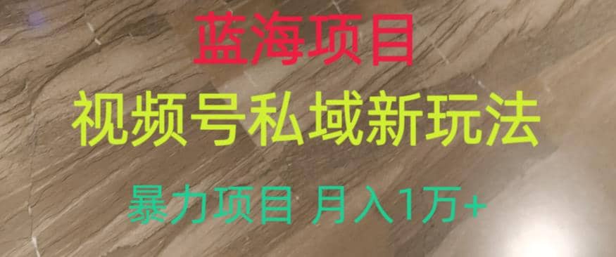 蓝海项目，视频号私域新玩法，暴力项目月入1万+【揭秘】网创吧-网创项目资源站-副业项目-创业项目-搞钱项目创业吧