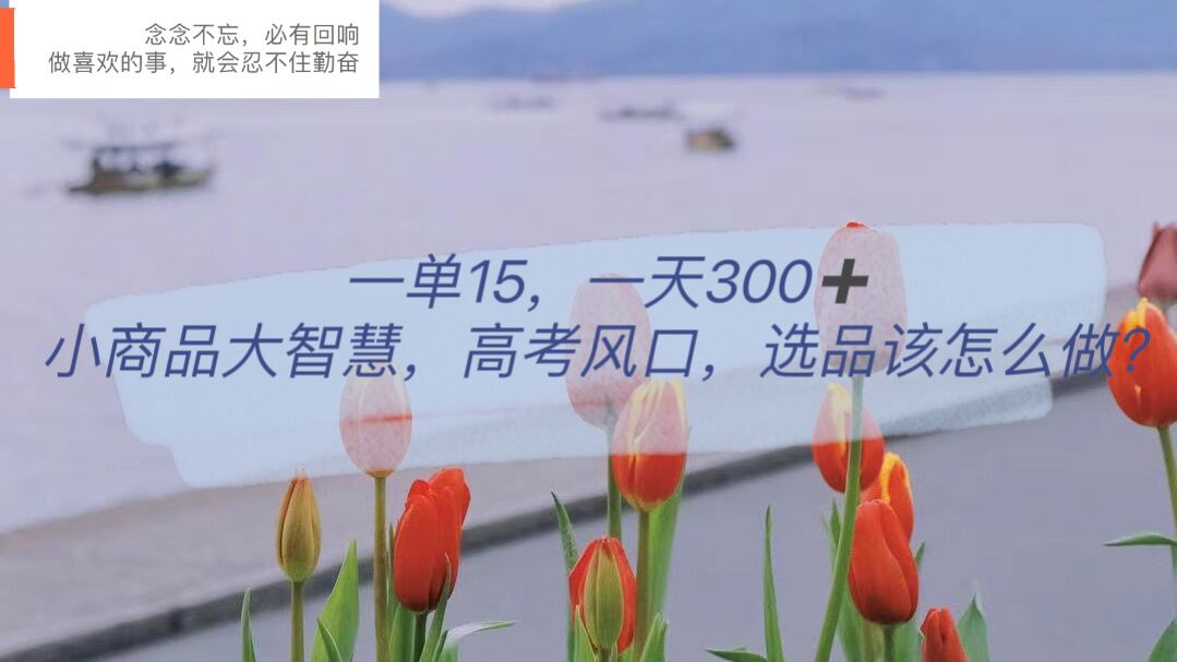 一单15，一天300+，小商品大智慧，高考风口，选品该怎么布局网创吧-网创项目资源站-副业项目-创业项目-搞钱项目创业吧