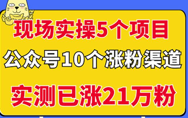 现场实操5个公众号项目，10个涨粉渠道，实测已涨21万粉！网创吧-网创项目资源站-副业项目-创业项目-搞钱项目创业吧