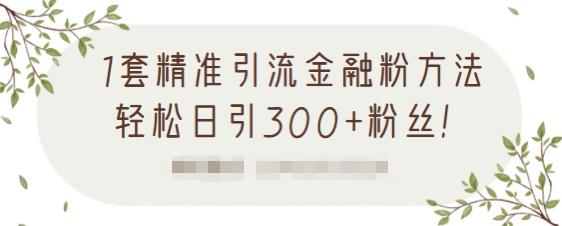 1套精准引流金融粉方法，轻松日引300+粉丝【视频课程】网创吧-网创项目资源站-副业项目-创业项目-搞钱项目创业吧