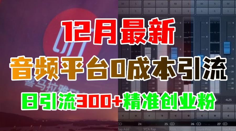 12月最新：音频平台0成本引流，日引300+精准创业粉网创吧-网创项目资源站-副业项目-创业项目-搞钱项目创业吧