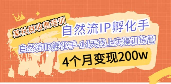 某社群收费培训：自然流IP 孵化手-14天线上实操训练营 4个月变现200w网创吧-网创项目资源站-副业项目-创业项目-搞钱项目创业吧