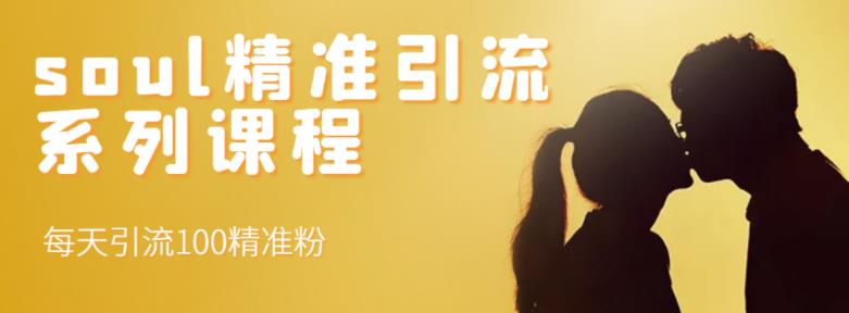 soul精准引流系列课程，每天引流100精准粉网创吧-网创项目资源站-副业项目-创业项目-搞钱项目创业吧
