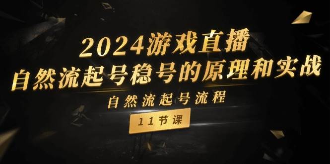 2024游戏直播-自然流起号稳号的原理和实战，自然流起号流程（11节）网创吧-网创项目资源站-副业项目-创业项目-搞钱项目创业吧