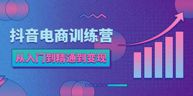 抖音电商训练营：从入门到精通，从账号定位到流量变现，抖店运营实操网创吧-网创项目资源站-副业项目-创业项目-搞钱项目创业吧