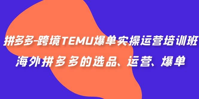 拼多多-跨境TEMU爆单实操运营培训班，海外拼多多的选品、运营、爆单网创吧-网创项目资源站-副业项目-创业项目-搞钱项目创业吧
