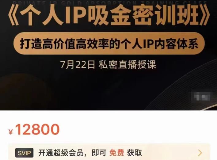 个人IP吸金密训班，打造高价值高效率的个人IP内容体系（价值12800元）网创吧-网创项目资源站-副业项目-创业项目-搞钱项目创业吧