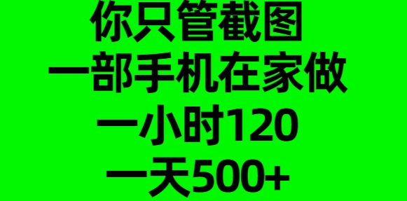 你只管截图，一部手机在家做，一小时120，一天500+网创吧-网创项目资源站-副业项目-创业项目-搞钱项目创业吧