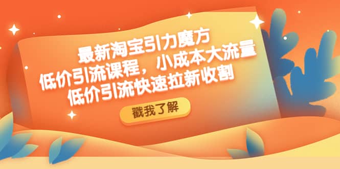 最新淘宝引力魔方低价引流实操：小成本大流量网创吧-网创项目资源站-副业项目-创业项目-搞钱项目创业吧