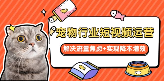 宠物/行业短视频运营 流量增长的一层窗户纸 解决流量焦虑+实现降本增效网创吧-网创项目资源站-副业项目-创业项目-搞钱项目创业吧