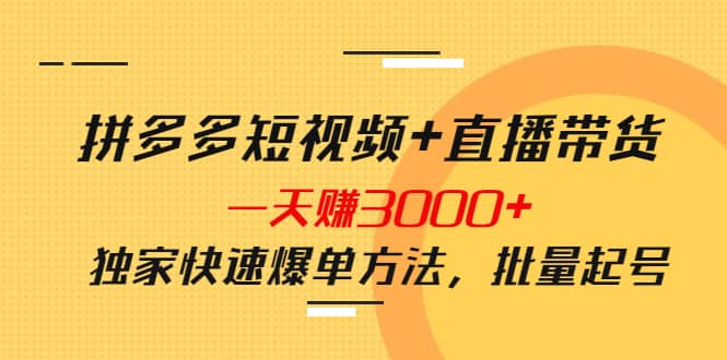 拼多多短视频+直播带货，一天赚3000+独家快速爆单方法，批量起号网创吧-网创项目资源站-副业项目-创业项目-搞钱项目创业吧
