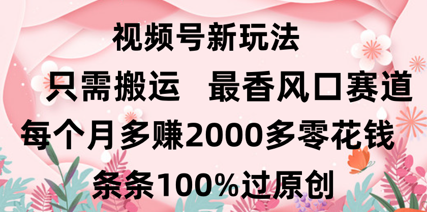 日入2000+，条条100%过原创，视频号最香风口赛道，小白轻松上手网创吧-网创项目资源站-副业项目-创业项目-搞钱项目创业吧