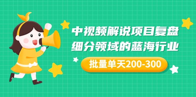 某付费文章：中视频解说项目复盘：细分领域的蓝海行业 批量单天200-300收益网创吧-网创项目资源站-副业项目-创业项目-搞钱项目创业吧