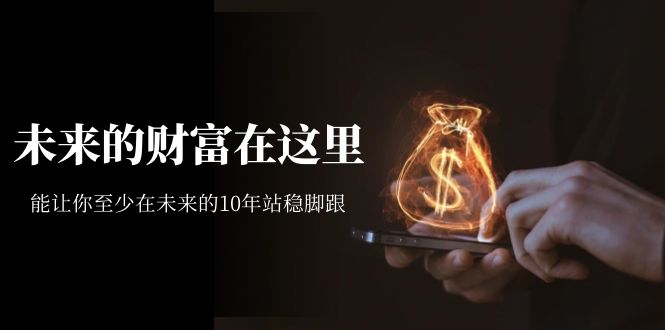 某收费文章《未来的财富在这里》能让你至少在未来的10年站稳脚跟网创吧-网创项目资源站-副业项目-创业项目-搞钱项目创业吧