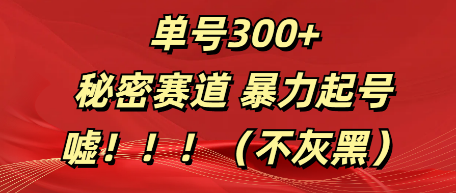 单号300+  秘密赛道 暴力起号  （不灰黑）网创吧-网创项目资源站-副业项目-创业项目-搞钱项目创业吧