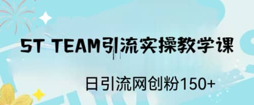 ST TEAM引流实操课，日引流网创粉100+网创吧-网创项目资源站-副业项目-创业项目-搞钱项目创业吧