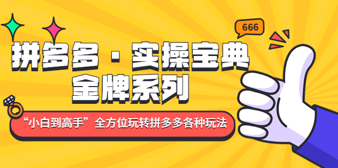 拼多多·实操宝典：金牌系列“小白到高手”带你全方位玩转拼多多各种玩法网创吧-网创项目资源站-副业项目-创业项目-搞钱项目创业吧