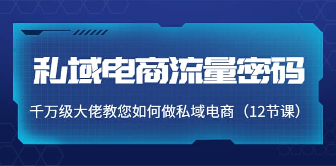 私域电商流量密码：千万级大佬教您如何做私域电商（12节课）网创吧-网创项目资源站-副业项目-创业项目-搞钱项目创业吧