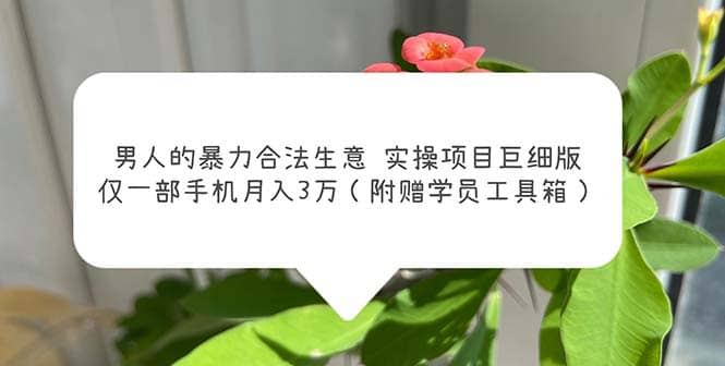 男人的暴力合法生意实操项目巨细版：仅一部手机月入3w（附赠学员工具箱）网创吧-网创项目资源站-副业项目-创业项目-搞钱项目创业吧