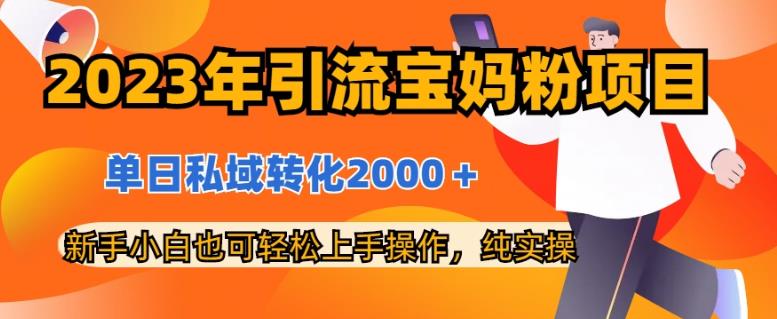 2023年引流宝妈粉项目，单日私域转化2000＋，新手小白也可轻松上手操作，纯实操网创吧-网创项目资源站-副业项目-创业项目-搞钱项目创业吧