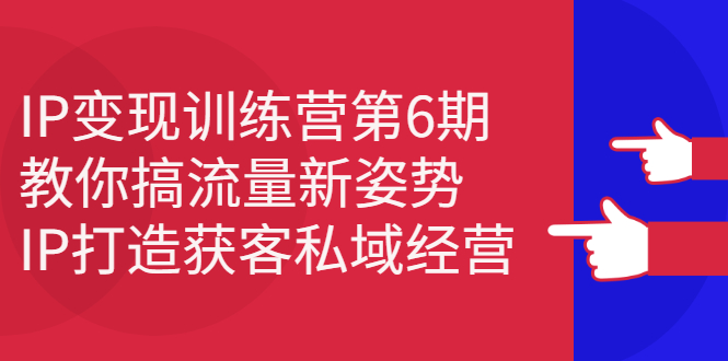 IP变现训练营第6期：教你搞流量新姿势，IP打造获客私域经营网创吧-网创项目资源站-副业项目-创业项目-搞钱项目创业吧