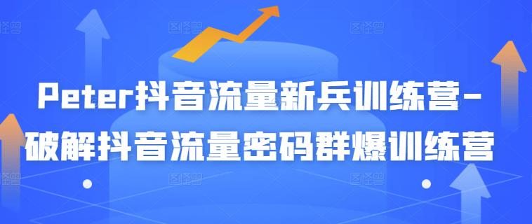 Peter抖音流量新兵训练营-破解抖音流量密码群爆训练营（新兵）网创吧-网创项目资源站-副业项目-创业项目-搞钱项目创业吧