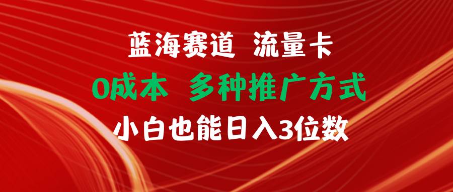 蓝海赛道 流量卡 0成本 小白也能日入三位数网创吧-网创项目资源站-副业项目-创业项目-搞钱项目创业吧