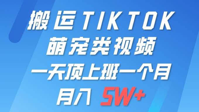 一键搬运TIKTOK萌宠类视频 一部手机即可操作 所有平台均可发布 轻松月入5W+网创吧-网创项目资源站-副业项目-创业项目-搞钱项目创业吧
