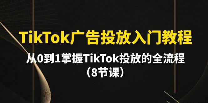 TikTok广告投放入门教程，从0到1掌握TikTok投放的全流程（8节课）网创吧-网创项目资源站-副业项目-创业项目-搞钱项目创业吧