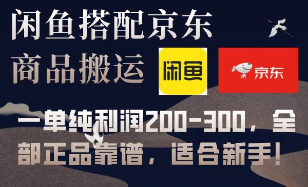 闲鱼搭配京东备份库搬运，一单纯利润200-300，全部正品靠谱，适合新手！网创吧-网创项目资源站-副业项目-创业项目-搞钱项目创业吧