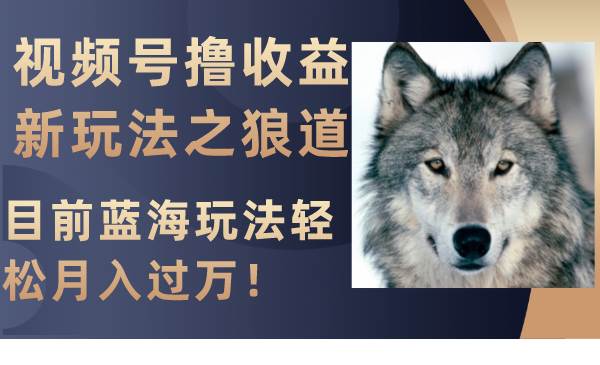 视频号撸收益新玩法之狼道，目前蓝海玩法轻松月入过万！网创吧-网创项目资源站-副业项目-创业项目-搞钱项目创业吧