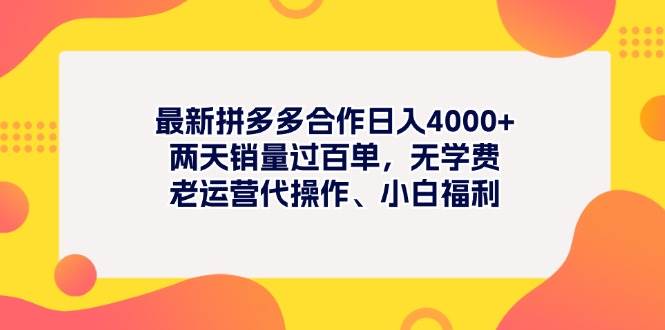最新拼多多项目日入4000+两天销量过百单，无学费、老运营代操作、小白福利网创吧-网创项目资源站-副业项目-创业项目-搞钱项目创业吧